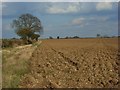 Farmland, Stokenchurch