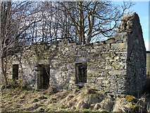 NN8852 : Ruin near Edradynate by Kathryn Goodenough