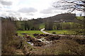 Sheep farm near Glascoed