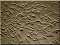 NJ9818 : Balmedie Beach: patterns in the sand by Martyn Gorman
