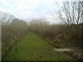 Public footpath above Burry Port