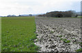 SJ3304 : Half ploughed field by Dave Croker