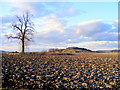 Looking towards Forgieston