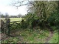 Footpath to Woodhayne Barton