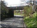 Bridge DOL1-58 - Manygates Lane