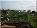 The Allotments