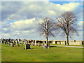 Broomhill Cemetery