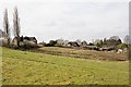 Looking across field towards Knowle Lane