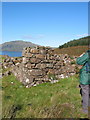 NM5457 : Corner of ruined house -Auliston deserted village by David Hogg