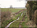 2008 : Clareham Lane near Buckland Dinham