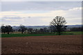 Ploughed Field