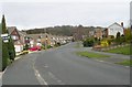 Hall Park Avenue - Hall Lane