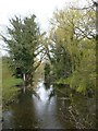 Looking along the Little Stour from the bridge over Seaton Road