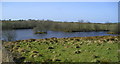 Lake at Blaeneinon