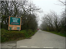 SW7750 : Entrance to the Cornish Cyder Farm by Jonathan Billinger