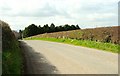 The Ballyrogan Road near Newtownards