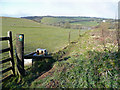 Footpath west from Cabilla Moorland