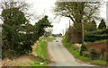 The Ballyhenry Road near Comber