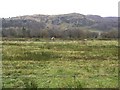 Leitrim Townland