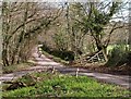 Lane to Thorns Cross