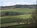 Fields above Harcombe