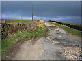 Bridleway over Black Moor