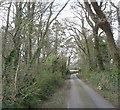 Road through woodland leading to the modern Llangwenllwyfo Church