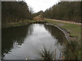 Vicar Water Country Park - Single Track Road View