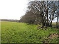 Hedgerow and path to Ysgubor y Cefn