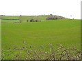 Bunnahone Townland