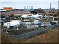 Allotments by St. Nicholas Bridge