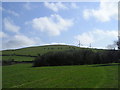 Tomenseba with Moelfre beyond