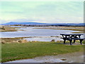 The Nature Reserve at Kingston