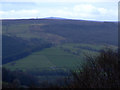 From Brimham Rocks Towards Bewerley Moor