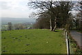 Pastureland on Sudeley Hill near Winchcombe