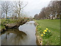 The Butts stream from the footbridge leading to the cricket and recreation ground on the left