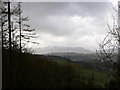 View South West towards Bala lake