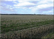 TL4554 : Farmland stubble by Mr Ignavy