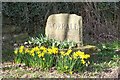 Worrall Village Sign