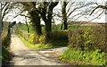 The Ballyclander Road near Downpatrick (2)