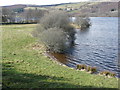 Beach on shore of Loch Tummel