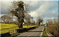 The Comber Road near Killyleagh