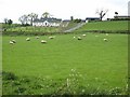 Farm on Lusky Road