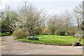 Garden in Hensting Lane, April 4th 2008