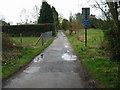 Looking S along the Canterbury - Whitstable cycleway