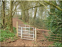 ST5499 : Kissing Gate near the Devil's Pulpit by Roy Parkhouse