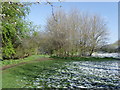 Spring Snow in Aylestone Meadows