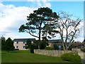 Trees and offices, South Marston Industrial Estate, Swindon