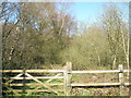 Start of footpath heading north to Purbrook