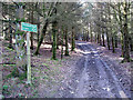 Farm track and sign